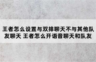 王者怎么设置与双排聊天不与其他队友聊天 王者怎么开语音聊天和队友